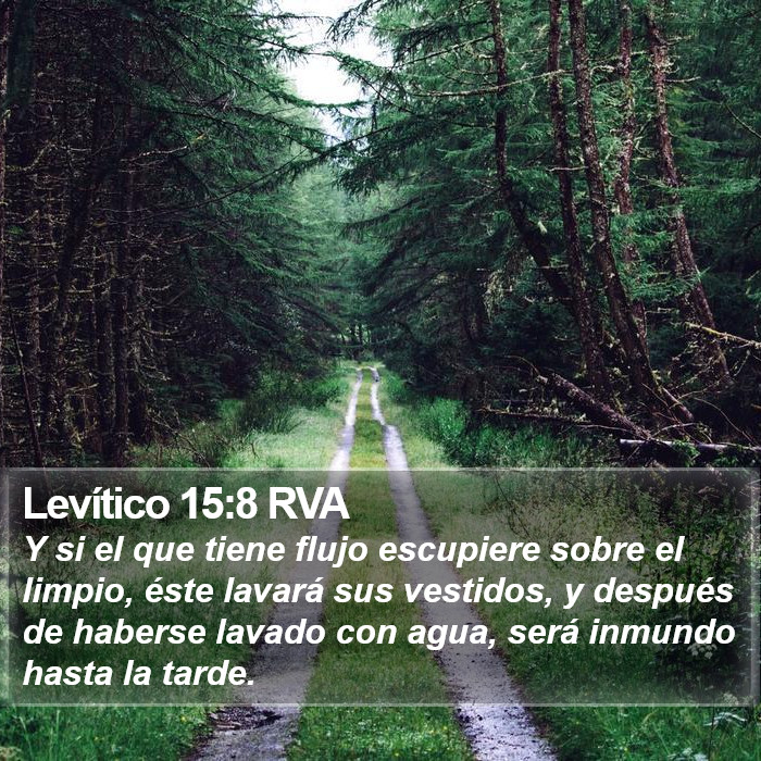 Levítico 15:8 RVA Bible Study