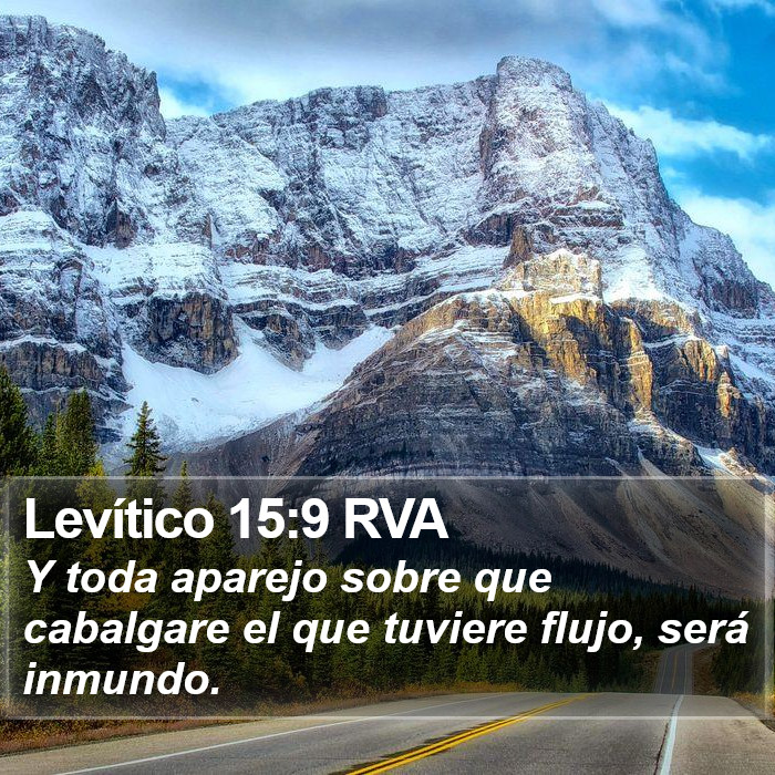 Levítico 15:9 RVA Bible Study