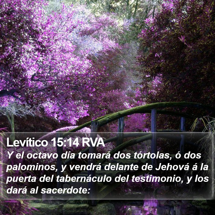 Levítico 15:14 RVA Bible Study