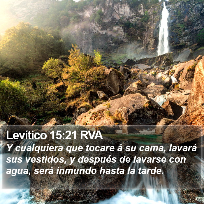 Levítico 15:21 RVA Bible Study