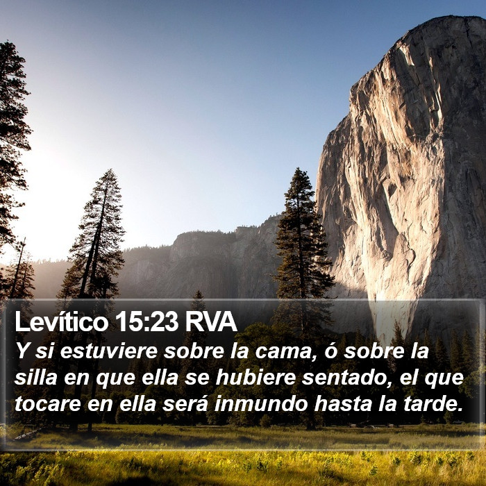 Levítico 15:23 RVA Bible Study