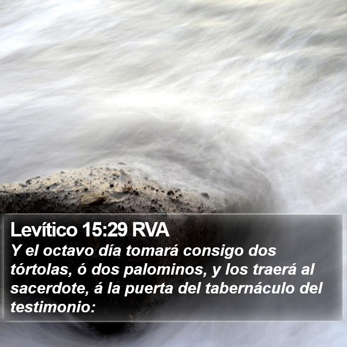 Levítico 15:29 RVA Bible Study