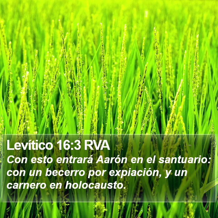 Levítico 16:3 RVA Bible Study