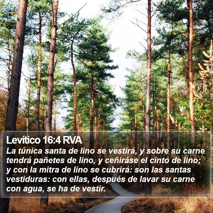 Levítico 16:4 RVA Bible Study