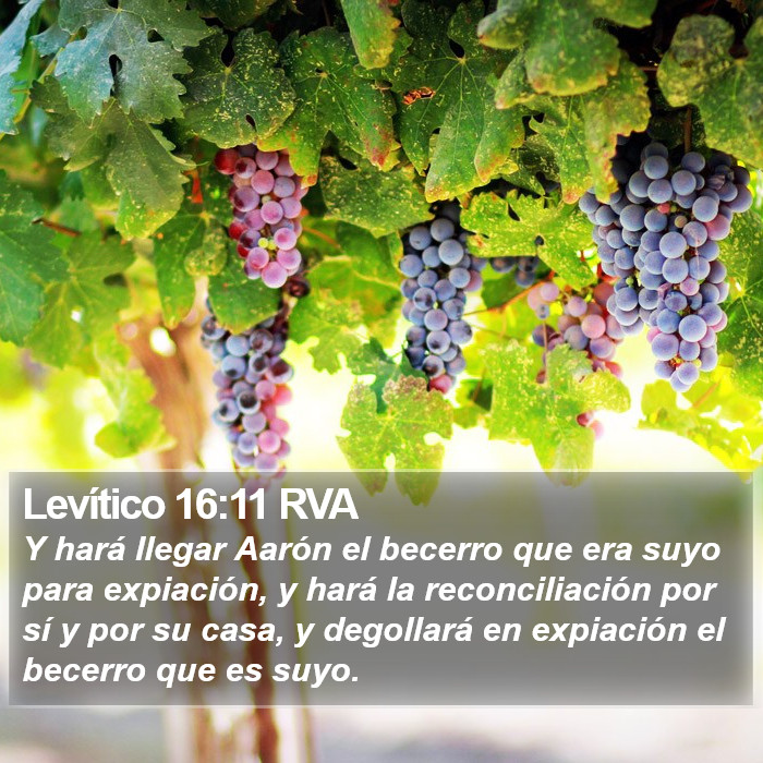 Levítico 16:11 RVA Bible Study