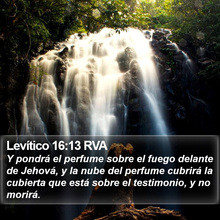 Levítico 16:13 RVA Bible Study