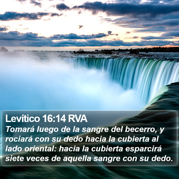 Levítico 16:14 RVA Bible Study