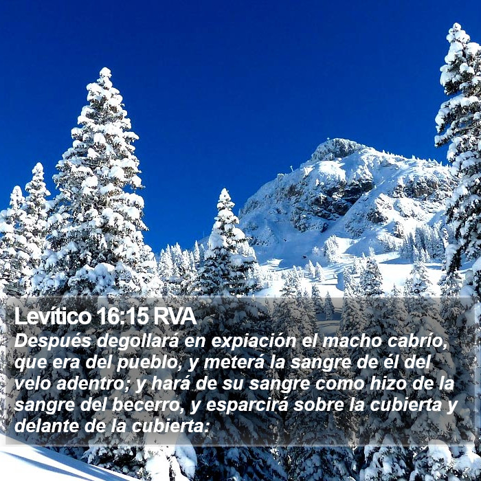 Levítico 16:15 RVA Bible Study