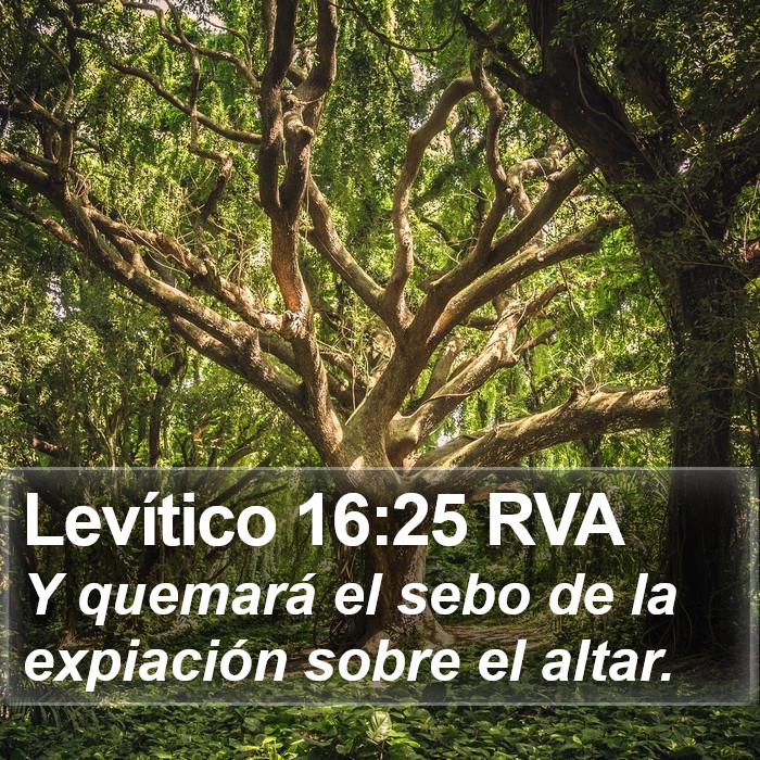 Levítico 16:25 RVA Bible Study