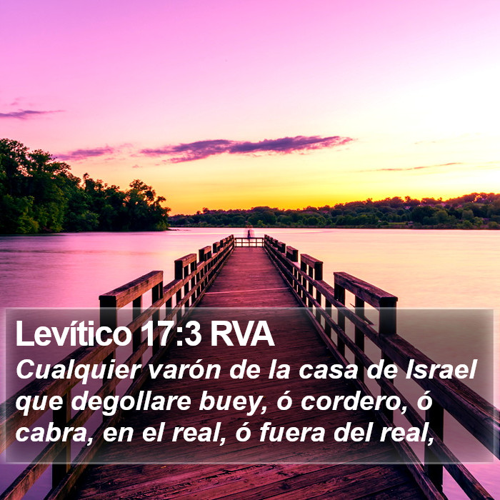 Levítico 17:3 RVA Bible Study