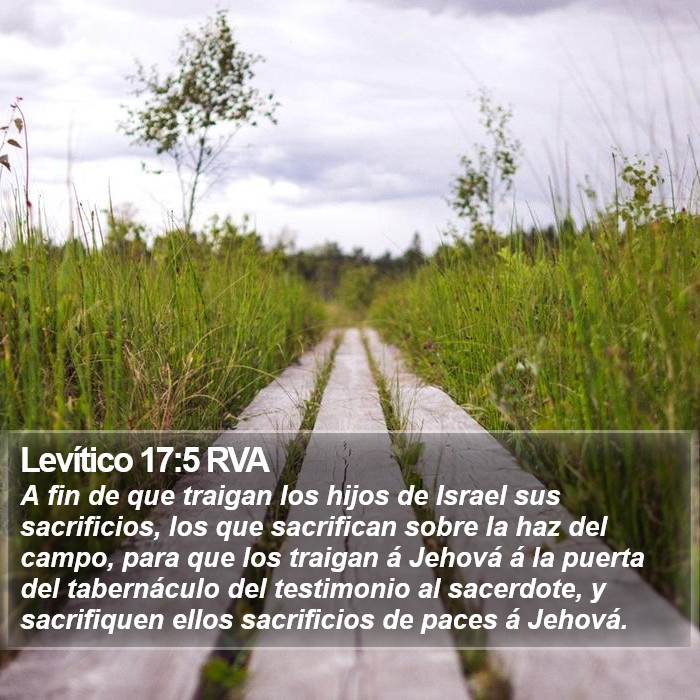 Levítico 17:5 RVA Bible Study