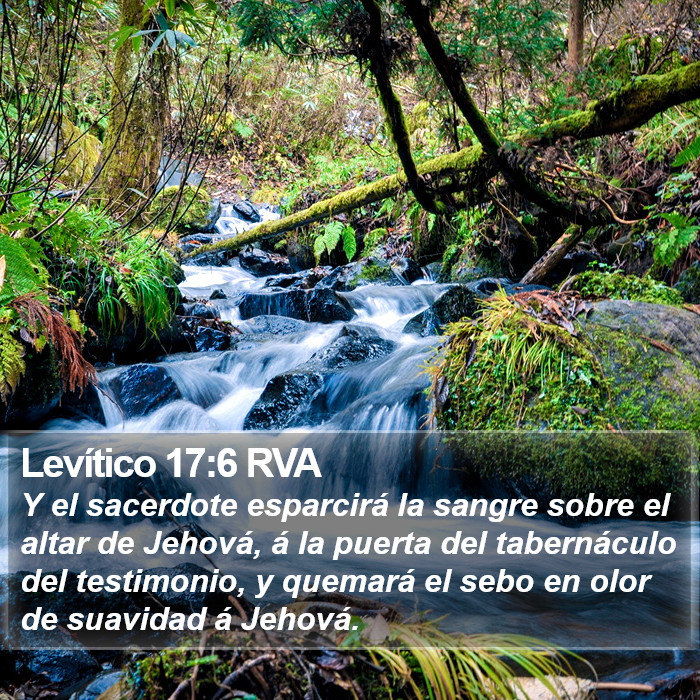 Levítico 17:6 RVA Bible Study