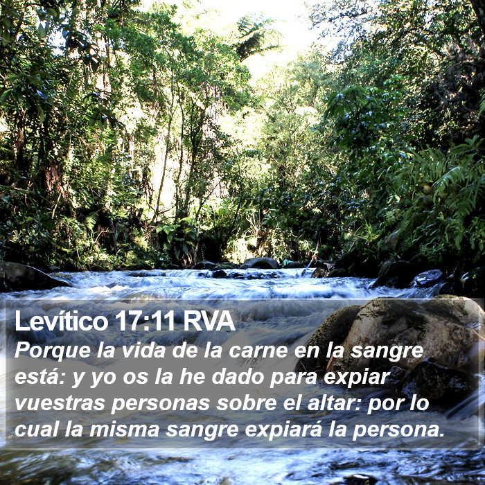 Levítico 17:11 RVA Bible Study