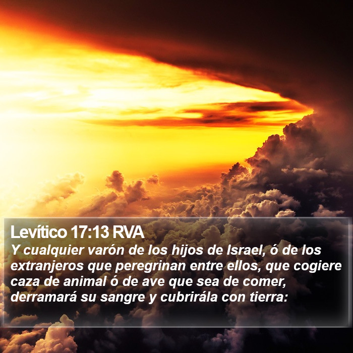 Levítico 17:13 RVA Bible Study