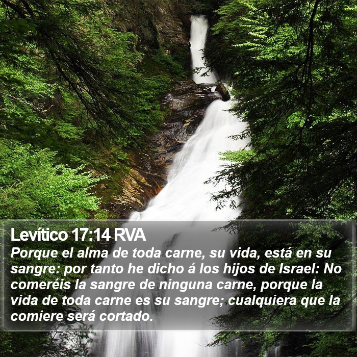 Levítico 17:14 RVA Bible Study