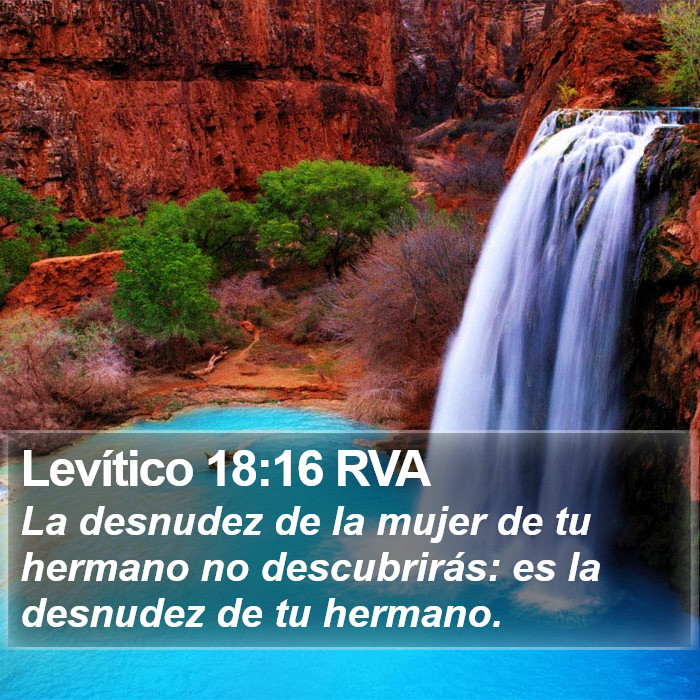 Levítico 18:16 RVA Bible Study