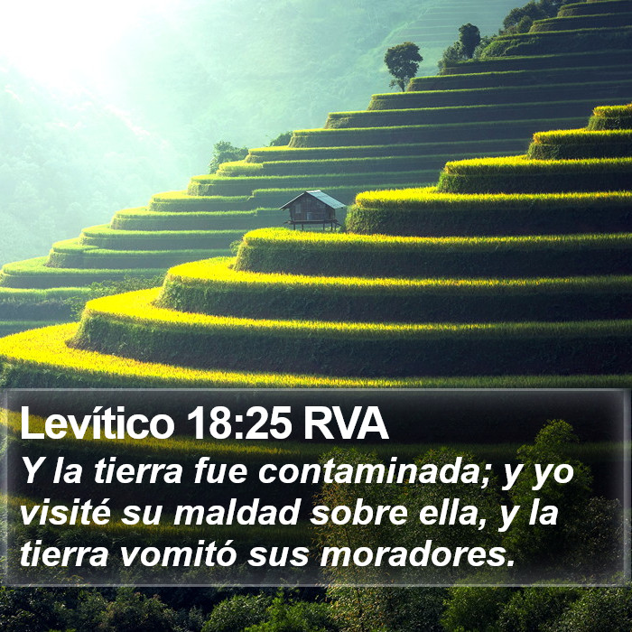 Levítico 18:25 RVA Bible Study