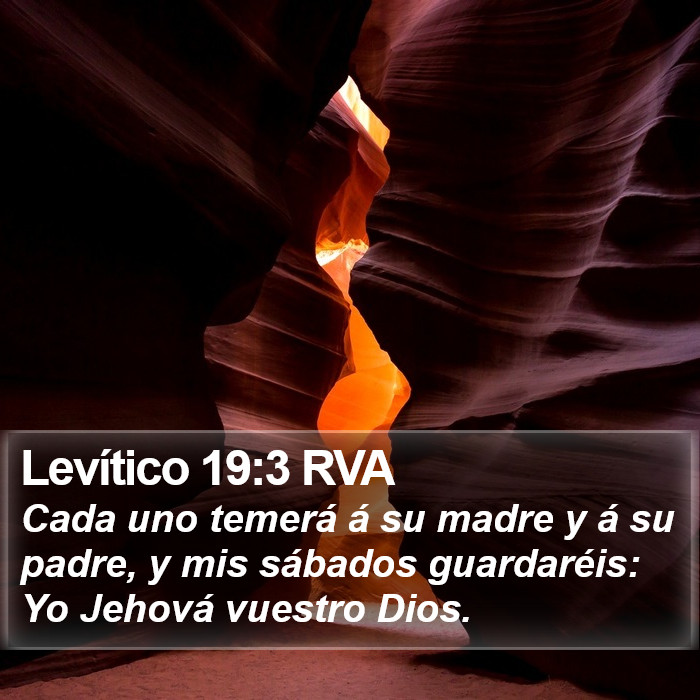 Levítico 19:3 RVA Bible Study