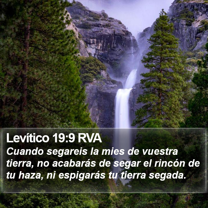 Levítico 19:9 RVA Bible Study