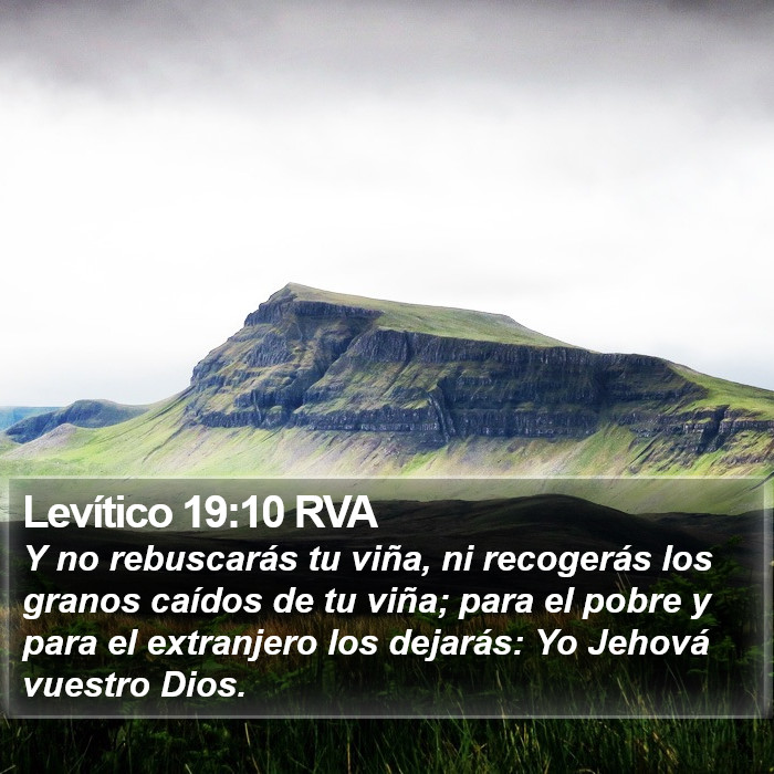 Levítico 19:10 RVA Bible Study