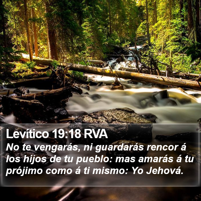 Levítico 19:18 RVA Bible Study