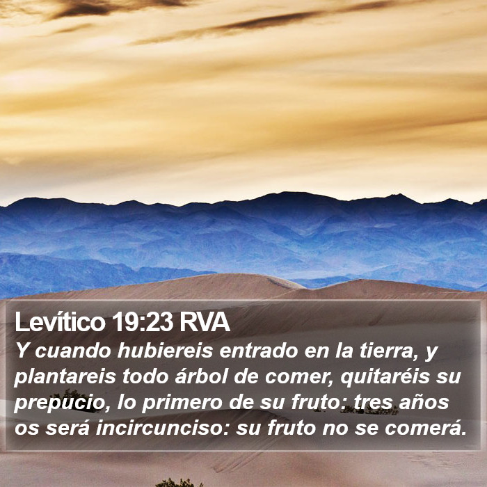 Levítico 19:23 RVA Bible Study