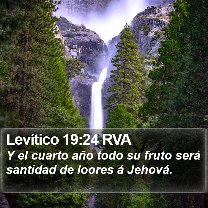 Levítico 19:24 RVA Bible Study