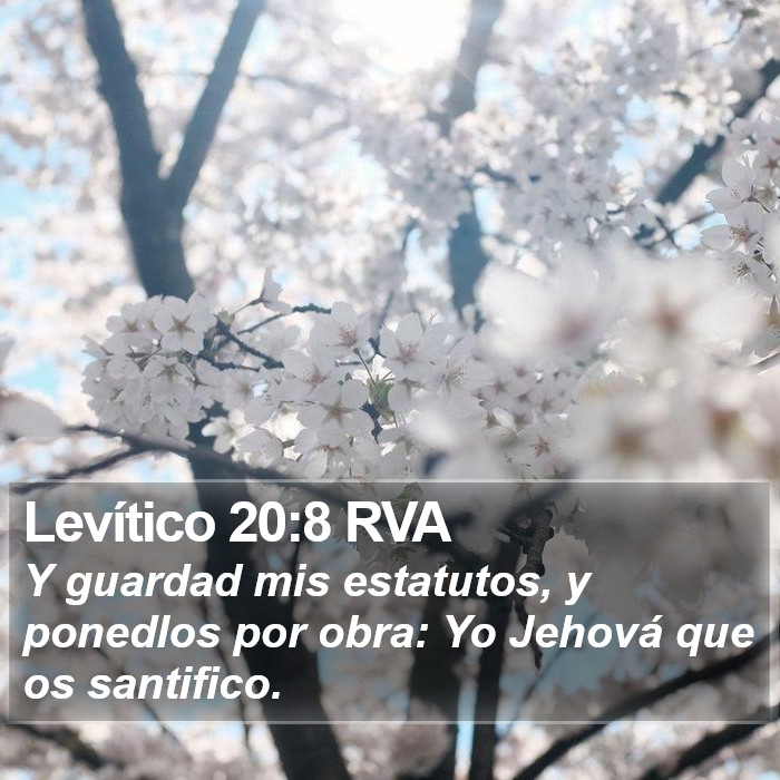 Levítico 20:8 RVA Bible Study