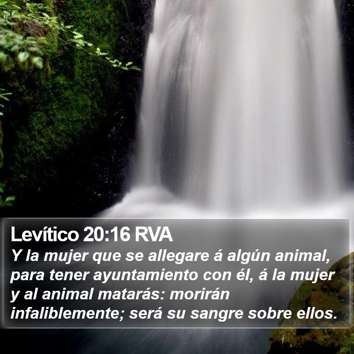 Levítico 20:16 RVA Bible Study