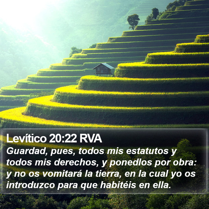 Levítico 20:22 RVA Bible Study