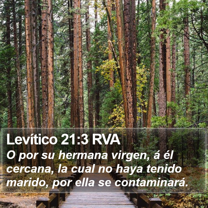 Levítico 21:3 RVA Bible Study