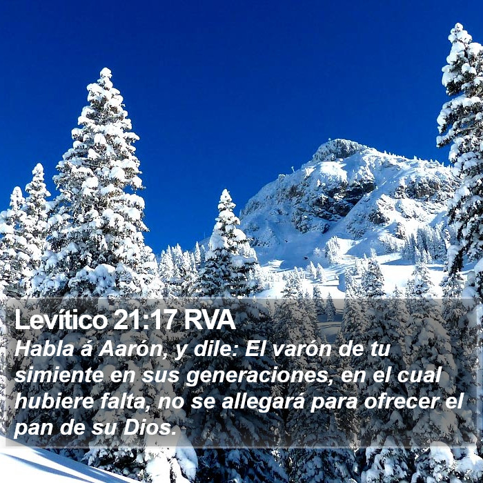 Levítico 21:17 RVA Bible Study