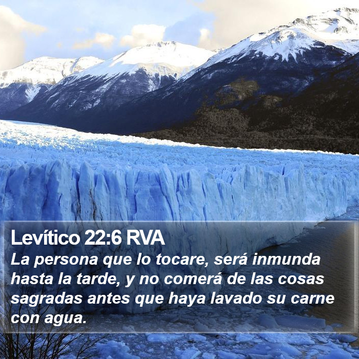 Levítico 22:6 RVA Bible Study