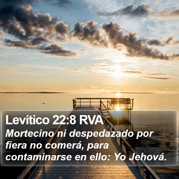 Levítico 22:8 RVA Bible Study