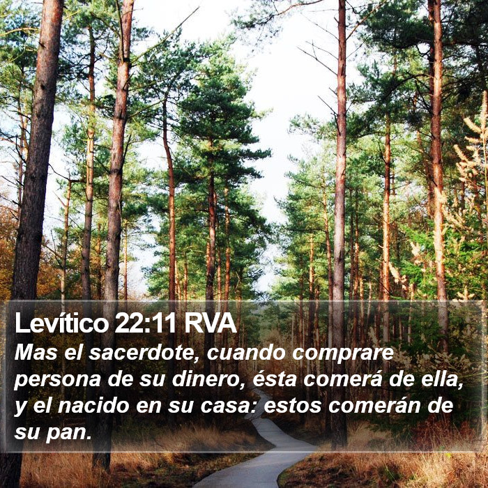 Levítico 22:11 RVA Bible Study