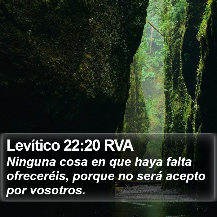 Levítico 22:20 RVA Bible Study