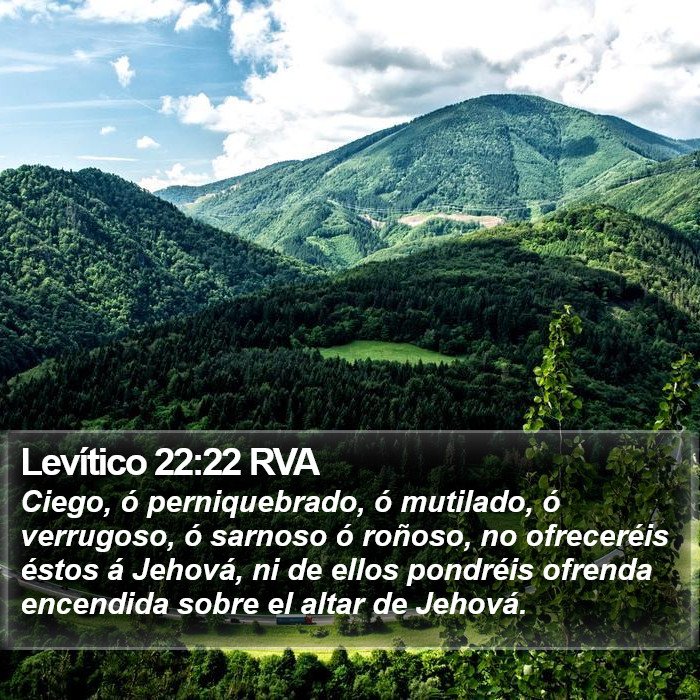 Levítico 22:22 RVA Bible Study