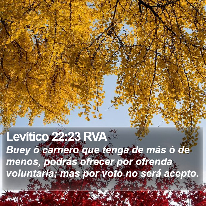 Levítico 22:23 RVA Bible Study