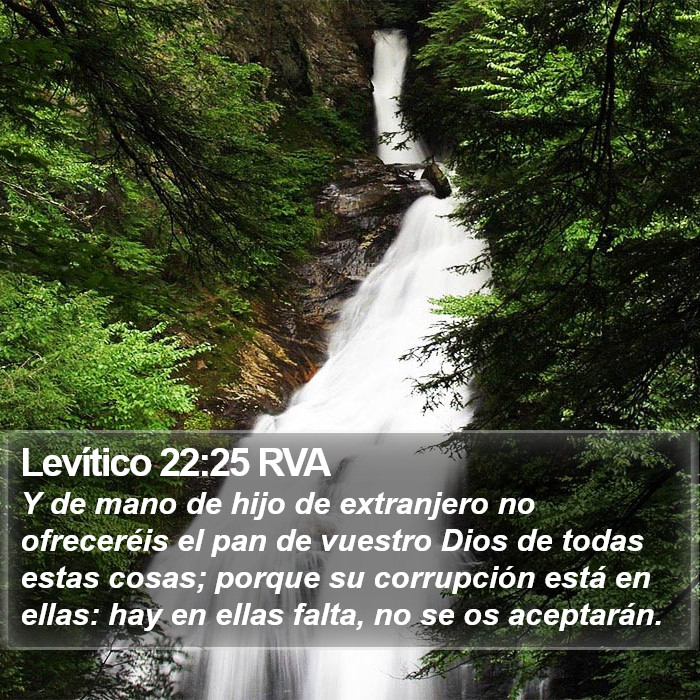 Levítico 22:25 RVA Bible Study