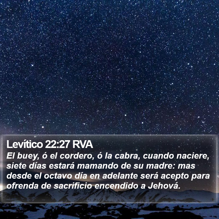 Levítico 22:27 RVA Bible Study