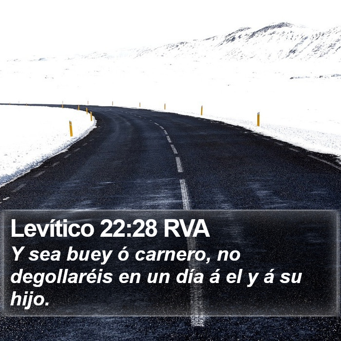 Levítico 22:28 RVA Bible Study