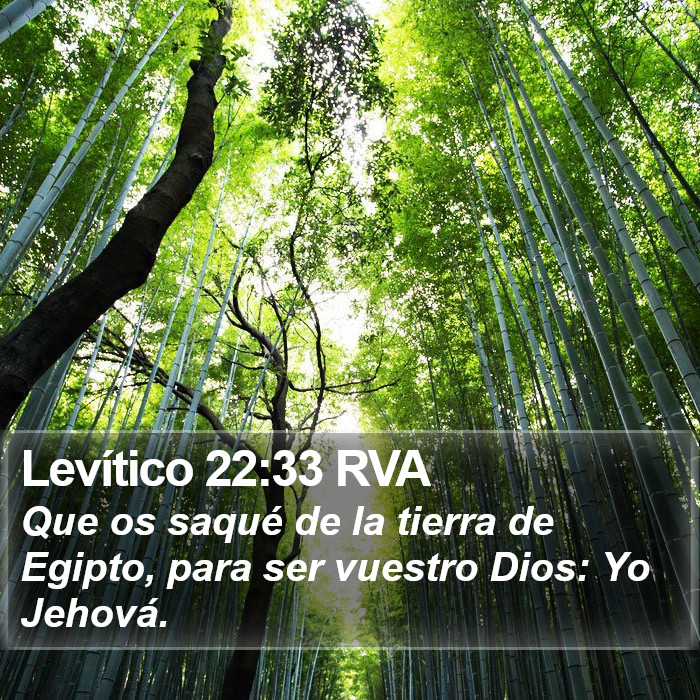 Levítico 22:33 RVA Bible Study