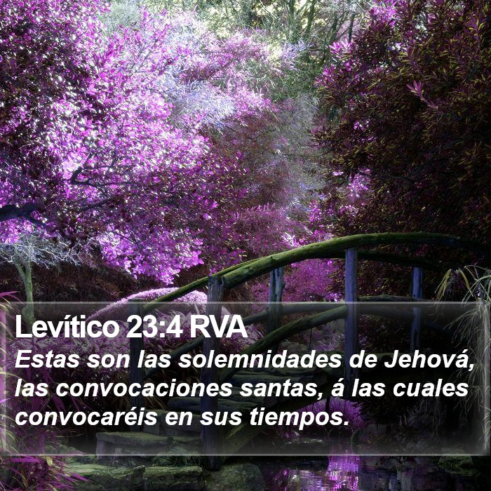 Levítico 23:4 RVA Bible Study