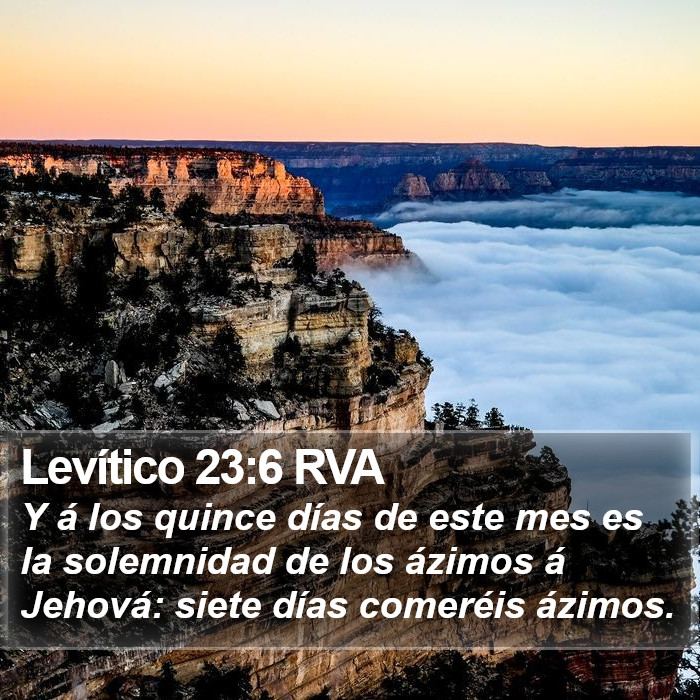 Levítico 23:6 RVA Bible Study