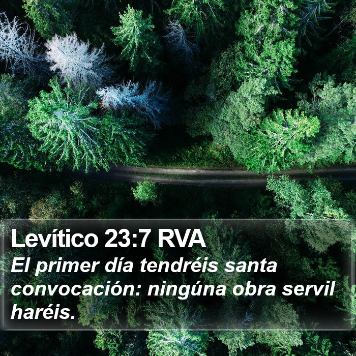 Levítico 23:7 RVA Bible Study