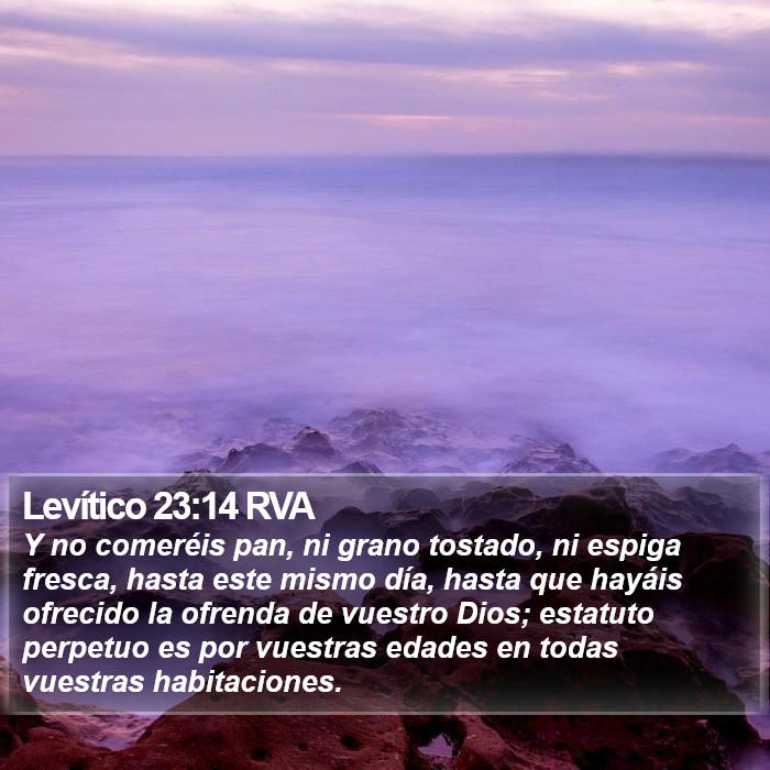 Levítico 23:14 RVA Bible Study