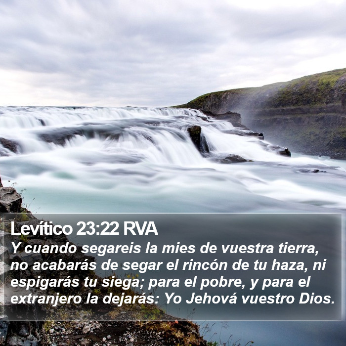 Levítico 23:22 RVA Bible Study