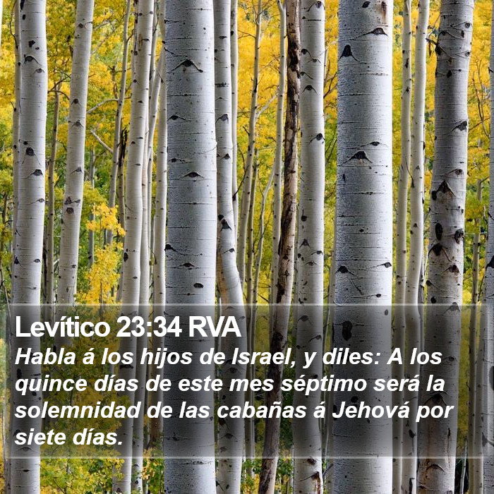 Levítico 23:34 RVA Bible Study