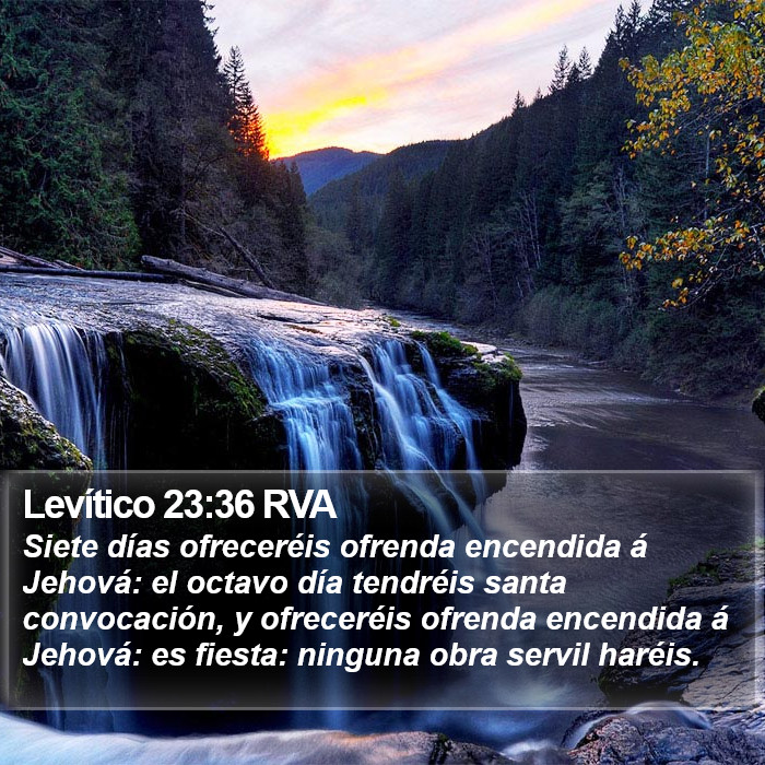 Levítico 23:36 RVA Bible Study
