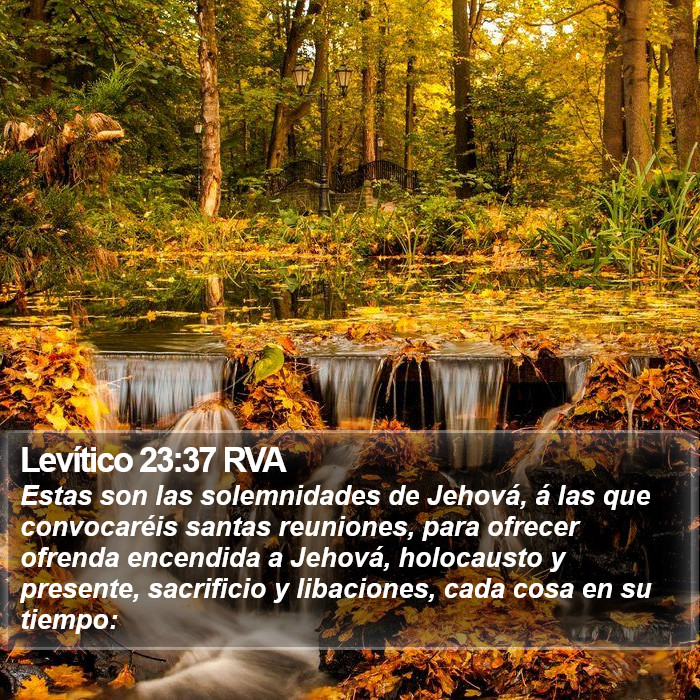 Levítico 23:37 RVA Bible Study